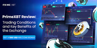 Exploring PrimeXBT Alternatives Top Trading Platforms Compared